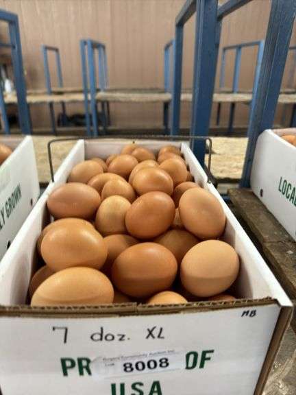 7 Doz Xlarge Brown Eating Eggs