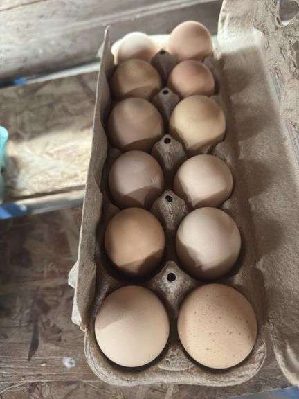 2 Doz Unwashed Brown Eating Eggs