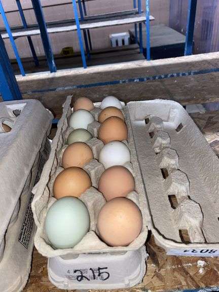 2 Doz Mixed Eating Eggs