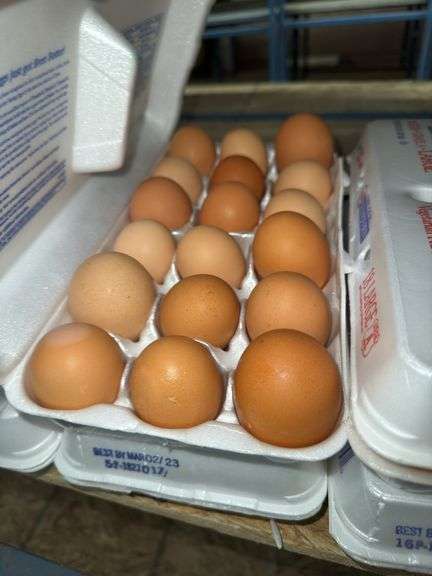 3 Doz Brown Eating Eggs
