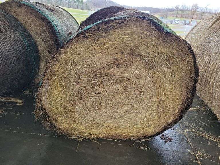 2 Round Bales 1st Orchard Grass (4x4.5)