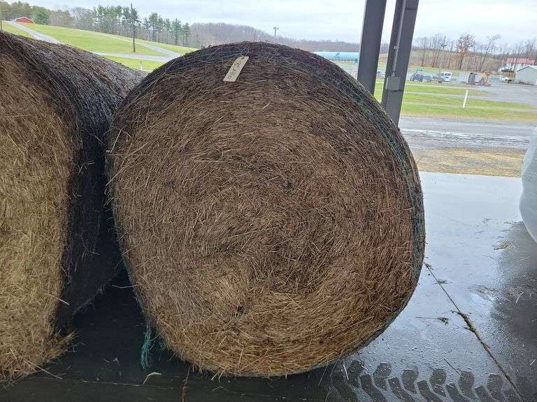 2 Round Bales 1st Orchard Grass (4x4.5)