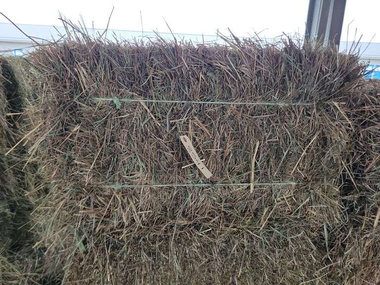 24 2nd Timothy Orchard