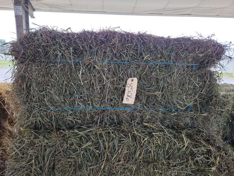 20 3rd Grass Clover Alfalfa