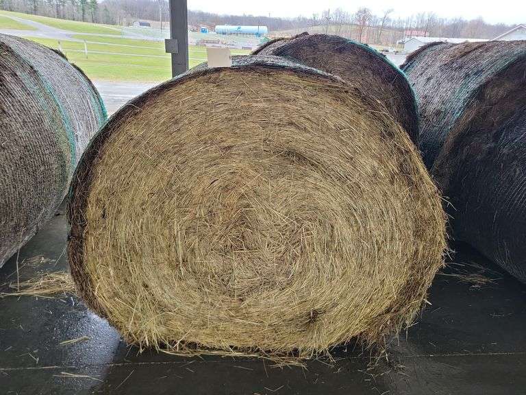 2 Round Bales 1st Orchard Grass (4x4.5)