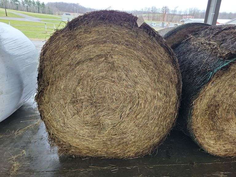 2 Round Bales 1st Orchard Grass (4x4.5)