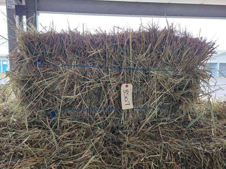 25 1st Grass Alfalfa Mix