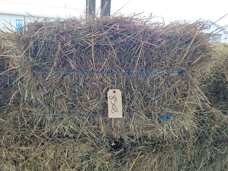 23 1st Grass Alfalfa Mix