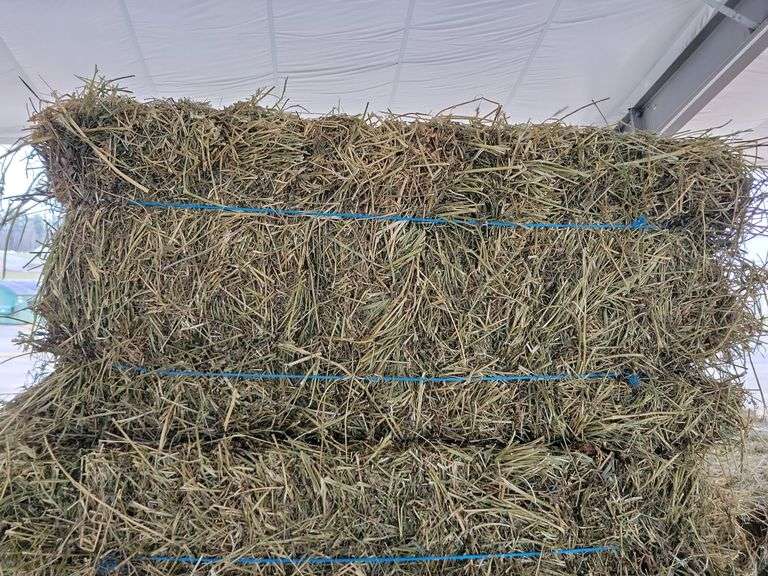 22 2nd Grass Alfalfa