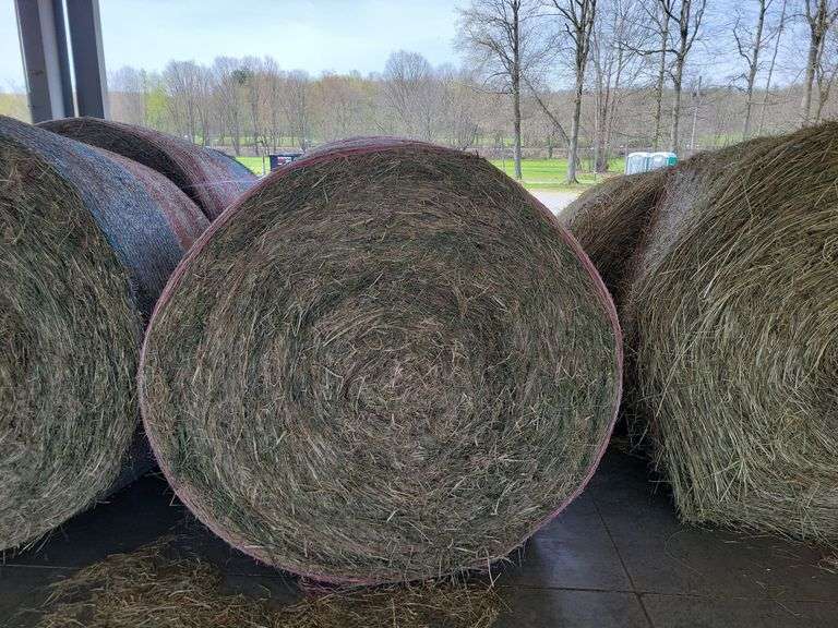 2 Round Bales 1st Mulch Hay (4x5) Rogers Community Auction Inc.