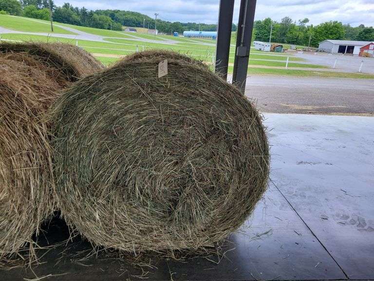 2 Round Bales 1st Orchard Grass Alfalfa (4x4) 2024