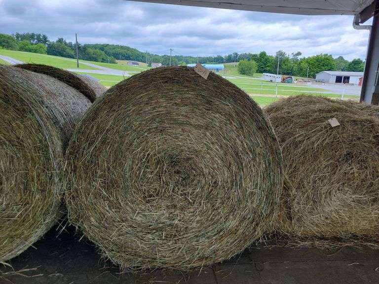 2 Round Bales 1st Timothy Alfalfa Mix (4x5) 2024