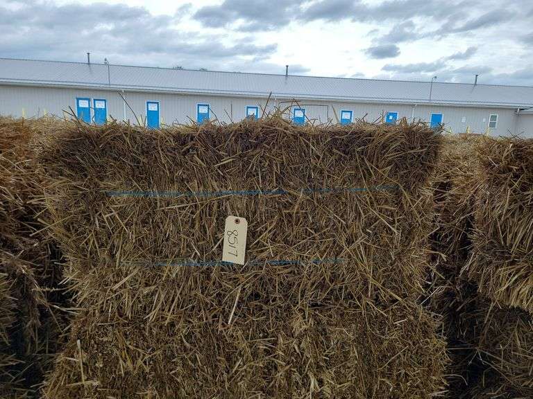 15 Wheat Straw