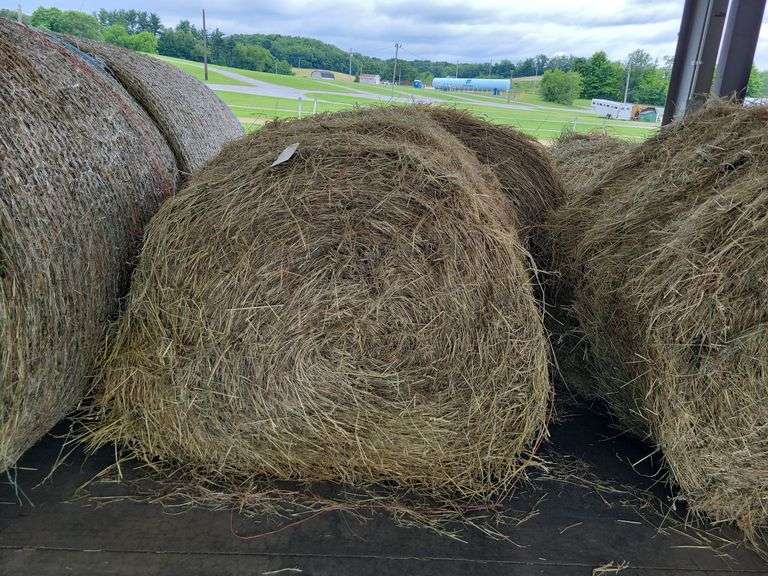 2 Round Bales 1st Orchard Grass Alfalfa (4x4) 2023