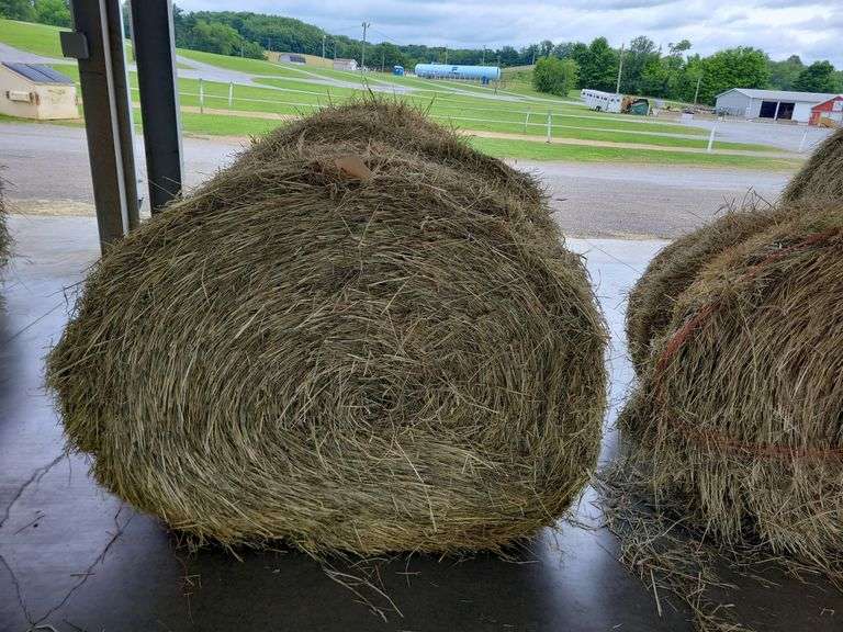 2 Round Bales 1st Orchard Grass Alfalfa (4x4) 2023