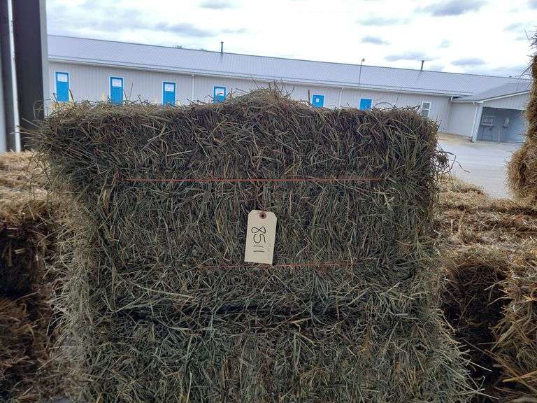 15 2nd Alfalfa Timothy