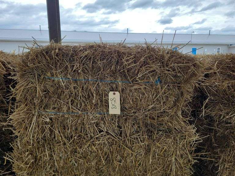 15 Wheat Straw