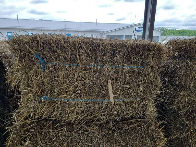 15 Wheat Straw