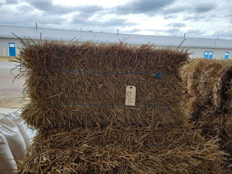 13 Wheat Straw