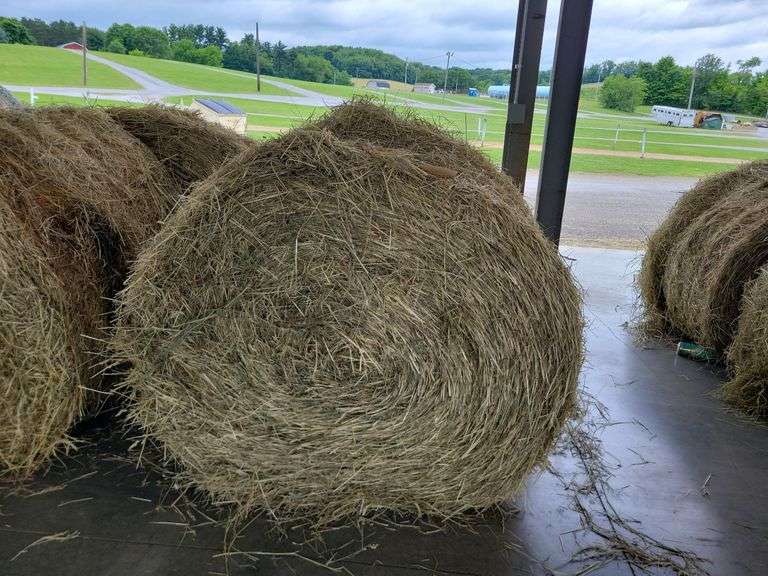 2 Round Bales 1st Orchard Grass Alfalfa (4x4) 2023