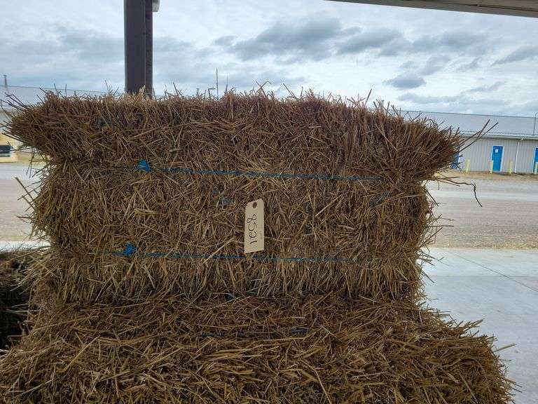 17 Wheat Straw