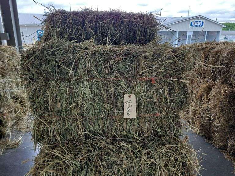 18 1st Orchard Grass Timothy