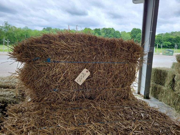 13 Wheat Straw