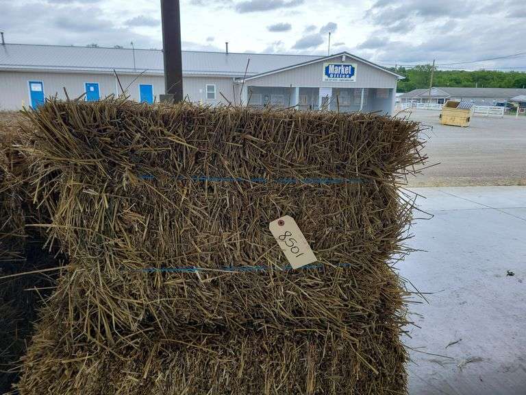 15 Wheat Straw