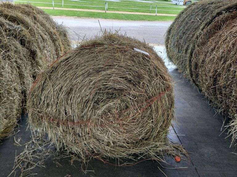 1 Small Round Bale 1st Orchard Grass Alfalfa (2023)