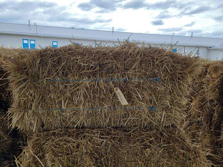 15 Wheat Straw