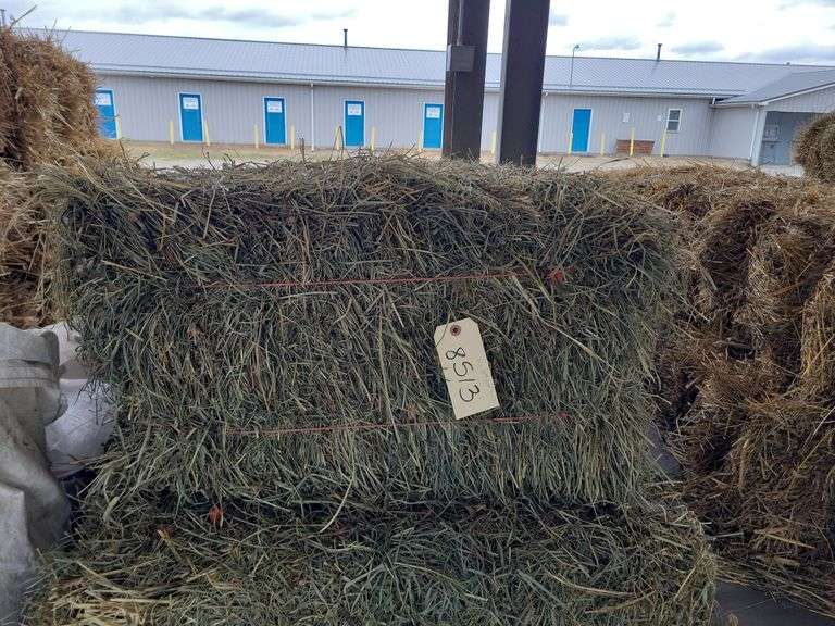 10 2nd Alfalfa Timothy