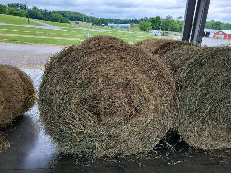 2 Round Bales 1st Orchard Grass Alfalfa (4x4) 2024