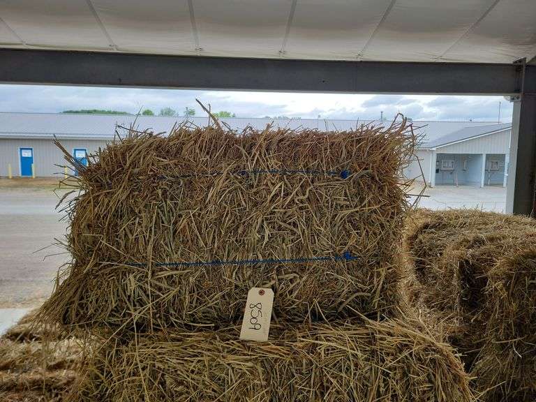 25 1st Timothy Alfalfa