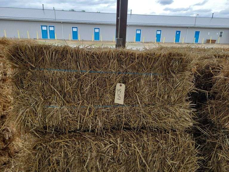 12 Wheat Straw