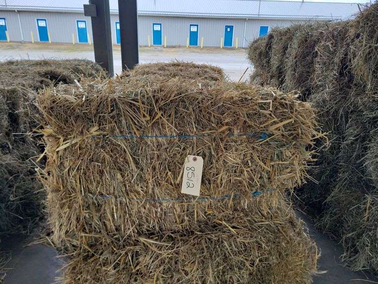 10 Straw