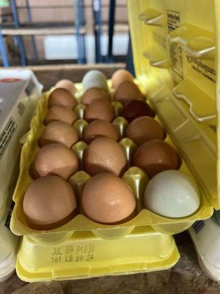 3 Doz Large Eating Eggs
