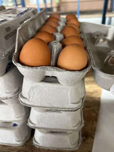 4 Doz Brown Eating Eggs