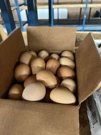 4 Doz Brown Eating Eggs