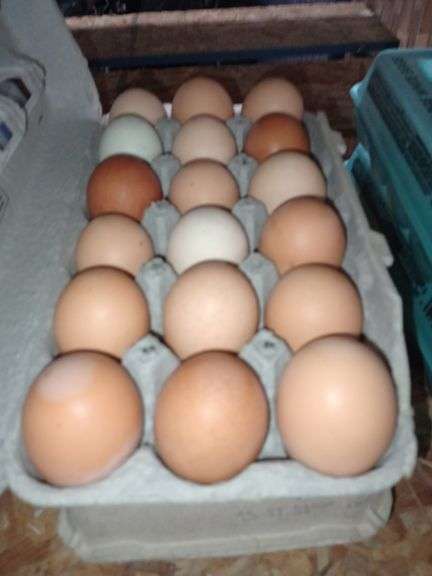 3 Doz Mixed Eating Eggs