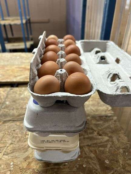 4 Doz Brown Eating Eggs
