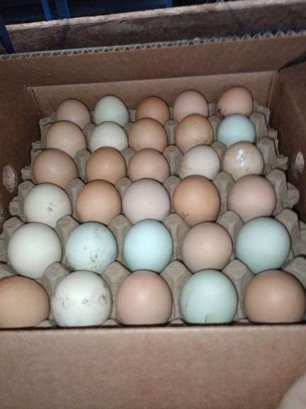 5 Doz Mixed Eating Eggs