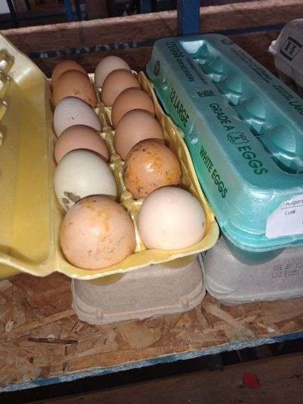 4 Doz Mixed Eating Eggs