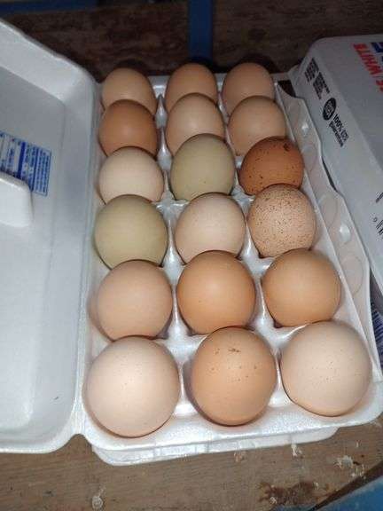 3 Doz Mixed Eating Eggs