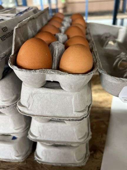 4 Doz Brown Eating Eggs