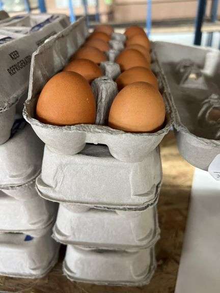4 Doz Brown Eating Eggs
