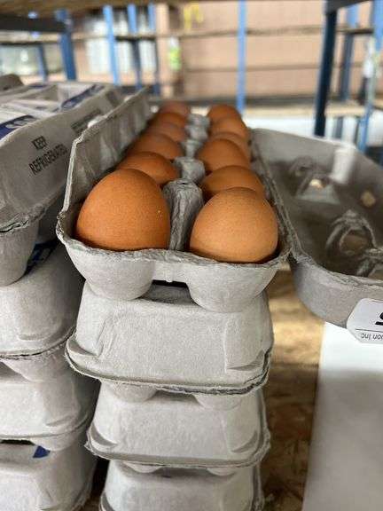 4 Doz Brown Eating Eggs