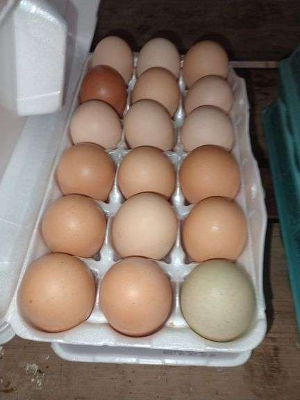 3 Doz Mixed Eating Eggs