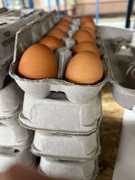 4 Doz Brown Eating Eggs