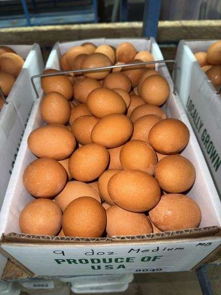 9 Doz Medium Brown Eating Eggs