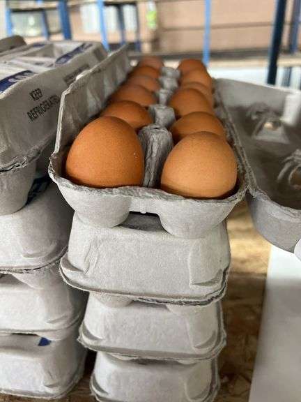 4 Doz Brown Eating Eggs
